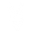 Holländischer Schäferhund