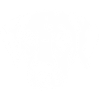 Dalmatiner