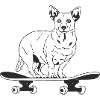 Chihuahua auf Skateboard