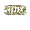 Photo Photographer Evolution Camouflage Photography