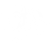 Dalmatiner