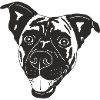 Boxer Schäferhund Mix