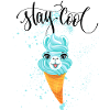 Stay Cool Ice Alpaca