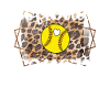 Softball-Cousin Stolzer Softballspieler-Cousin