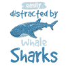 Easily Distracted By Whale Sharks Cute Whale Shark