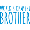 Worlds okayest Brother Team