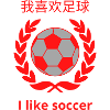 我喜欢足球 I Like soccer