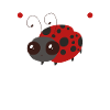 Ladybug Ladybug Entomology Insects