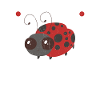 Ladybug Ladybug Entomology Insects