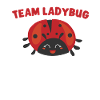 Ladybug Ladybug Entomology Insects