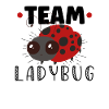 Ladybug Ladybug Entomology Insects