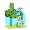 Gartengärtner Schnitthecke Mittelfinger Gartenarbeit