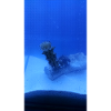 Lake Roller
