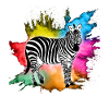 Zebra