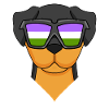 Genderqueer Lgbt Dog Rottweiler