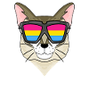 Pansexual Singapura - Chat avec lunettes