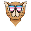 Transgender Transsexual Persian Cat Cat