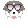 Transgender Thai Bangkaew Dog
