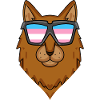 Transgender Transsexual Somali Cat