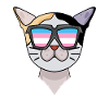 Transgender Transsexual Japanese Bobtail Cat