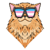 Chat persan transsexuel transgenre