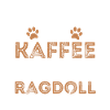 Ragdoll Cat Coffee Cafe