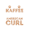 Café American Curl Cat