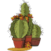 Fleur