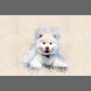 Pintura de acuarela Siberian Husky White -por- Wyll-