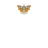 Cyborg Butterfly Esthétique Cyber