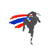 Muay thai fighter