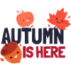 Autumn is here