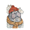 Walrus Coast