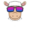 Bisexual sheep - sheep with glasses