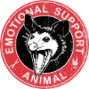 Opposum Graphic