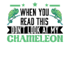 Chameleon lover Chameleon
