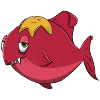 Fisch und Seestern