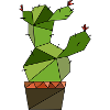 Cactus geometric