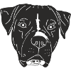 American Bulldog