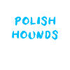 Polish Hound