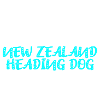 New Zealand Heading Dog