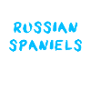 Russian Spaniel