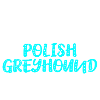 Lévrier polonais