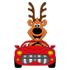 REH - AUTO - TIER - FAHRSCHULE - FÜHRERSCHEIN