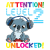 Attention Level 2 Unlocked Birthday