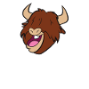 Yaks sind mein Seelentier