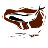 Whale Conservation Save Planet Ecosystem