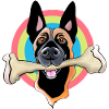 Malinois with bone
