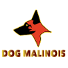 Malinois dog