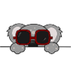 Coala Cool Bear